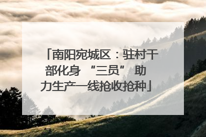 南阳宛城区：驻村干部化身 “三员” 助力生产一线抢收抢种