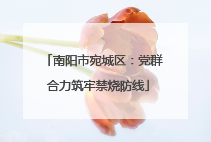 南阳市宛城区：党群合力筑牢禁烧防线