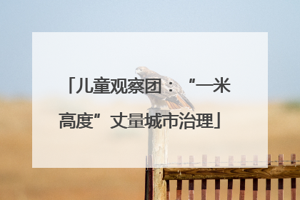儿童观察团：“一米高度”丈量城市治理
