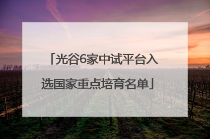 光谷6家中试平台入选国家重点培育名单