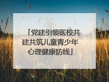 党建引领医校共建共筑儿童青少年心理健康防线