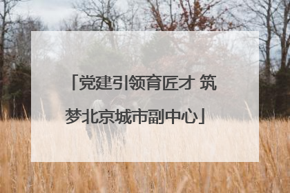 党建引领育匠才 筑梦北京城市副中心