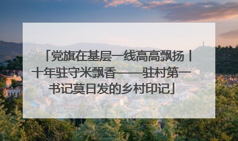 党旗在基层一线高高飘扬丨十年驻守米飘香——驻村第一书记莫日发的乡村印记