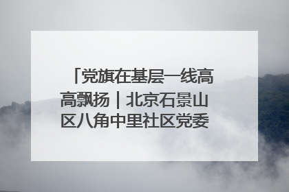党旗在基层一线高高飘扬｜北京石景山区八角中里社区党委：用脚步丈量民生