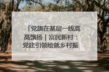 党旗在基层一线高高飘扬｜富民新村：党建引领绘就乡村振兴美丽画卷