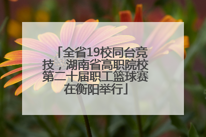 全省19校同台竞技，湖南省高职院校第二十届职工篮球赛在衡阳举行