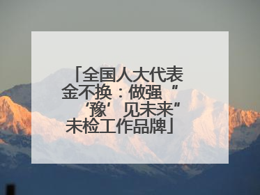 全国人大代表金不换：做强“‘豫’见未来”未检工作品牌
