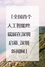 全国首个人工智能终端展在深圳启幕_深圳新闻网