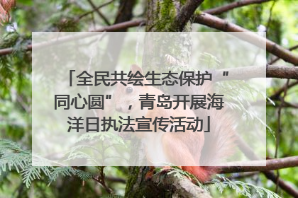 全民共绘生态保护“同心圆”，青岛开展海洋日执法宣传活动