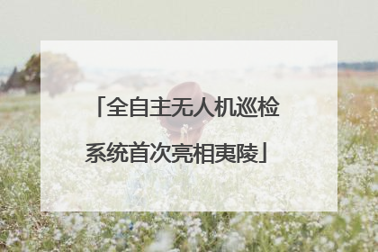 全自主无人机巡检系统首次亮相夷陵