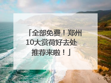 全部免费！郑州10大赏荷好去处推荐来啦！