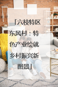 六枝特区东风村：特色产业绘就乡村振兴新图景