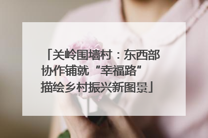 关岭围墙村：东西部协作铺就“幸福路” 描绘乡村振兴新图景