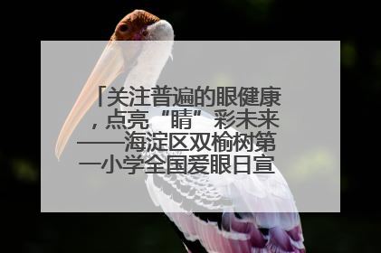 关注普遍的眼健康，点亮“睛”彩未来——海淀区双榆树第一小学全国爱眼日宣传教育活动