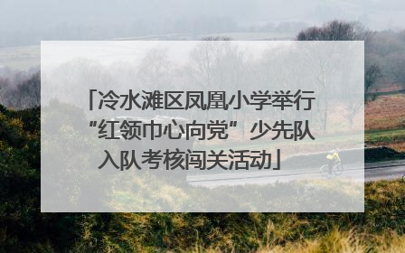 冷水滩区凤凰小学举行“红领巾心向党”少先队入队考核闯关活动