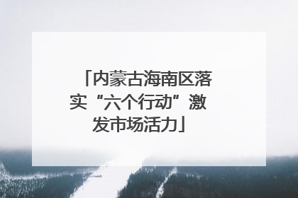 内蒙古海南区落实“六个行动”激发市场活力