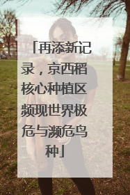 再添新记录，京西稻核心种植区频现世界极危与濒危鸟种