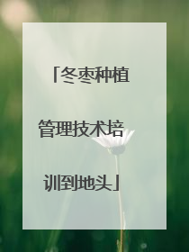 冬枣种植管理技术培训到地头