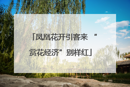 凤凰花开引客来 “赏花经济”别样红