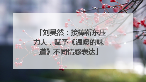 刘昊然：接棒靳东压力大，赋予《温暖的味道》不同情感表达
