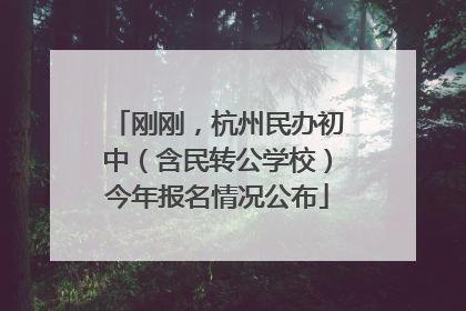 刚刚，杭州民办初中（含民转公学校）今年报名情况公布