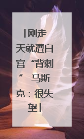 刚走一天就遭白宫“背刺” 马斯克：很失望