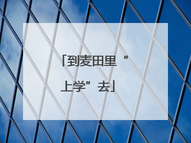 到麦田里“上学”去