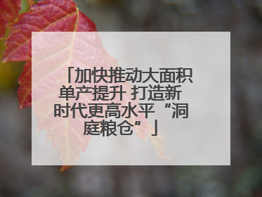 加快推动大面积单产提升 打造新时代更高水平“洞庭粮仓”
