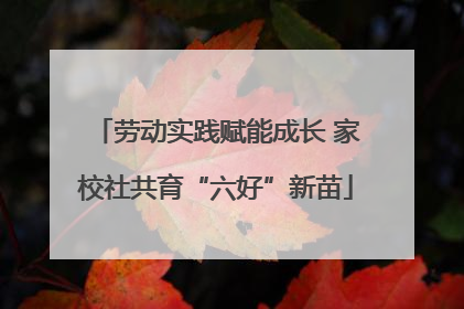 劳动实践赋能成长 家校社共育“六好”新苗