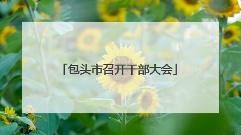 包头市召开干部大会