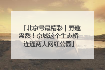 北京号最精彩｜野趣盎然！京城这个生态桥连通两大网红公园