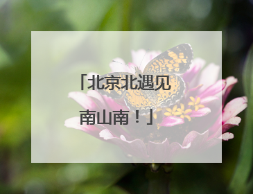 北京北遇见南山南！