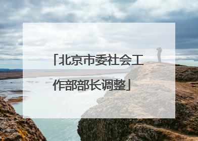 北京市委社会工作部部长调整