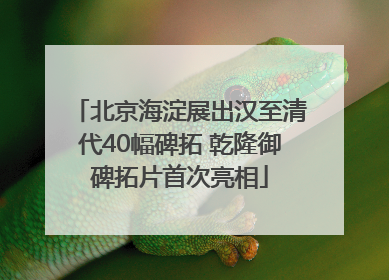 北京海淀展出汉至清代40幅碑拓 乾隆御碑拓片首次亮相