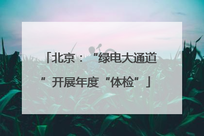 北京：“绿电大通道”开展年度“体检”