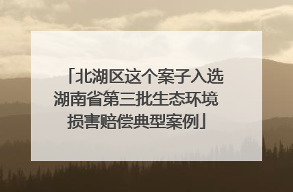 北湖区这个案子入选湖南省第三批生态环境损害赔偿典型案例