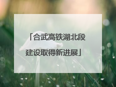 合武高铁湖北段建设取得新进展