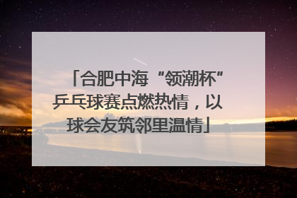 合肥中海“领潮杯”乒乓球赛点燃热情，以球会友筑邻里温情