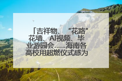吉祥物、“花路”花墙、AI视频、毕业游园会……海南各高校用超燃仪式感为学子青春“存档”