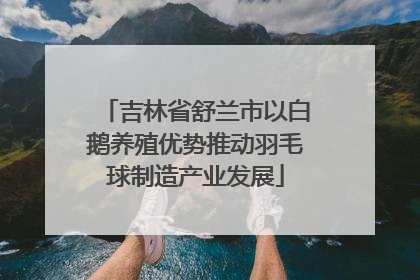 吉林省舒兰市以白鹅养殖优势推动羽毛球制造产业发展