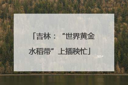 吉林：“世界黄金水稻带”上插秧忙