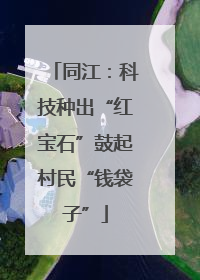同江：科技种出“红宝石”鼓起村民“钱袋子”