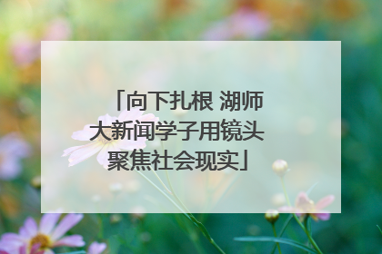 向下扎根 湖师大新闻学子用镜头聚焦社会现实