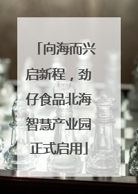 向海而兴启新程，劲仔食品北海智慧产业园正式启用