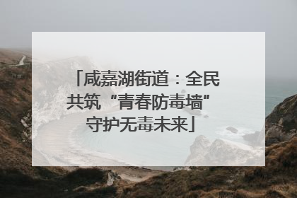 咸嘉湖街道：全民共筑“青春防毒墙” 守护无毒未来