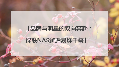 品牌与明星的双向奔赴：绿联NAS邂逅易烊千玺
