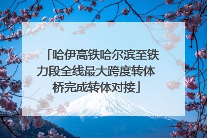 哈伊高铁哈尔滨至铁力段全线最大跨度转体桥完成转体对接