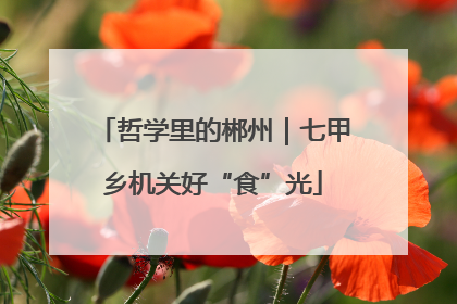 哲学里的郴州｜七甲乡机关好“食”光