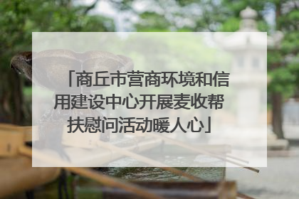 商丘市营商环境和信用建设中心开展麦收帮扶慰问活动暖人心