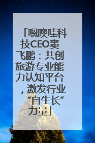 嗯噢哇科技CEO窦飞鹏：共创旅游专业能力认知平台，激发行业“自生长”力量